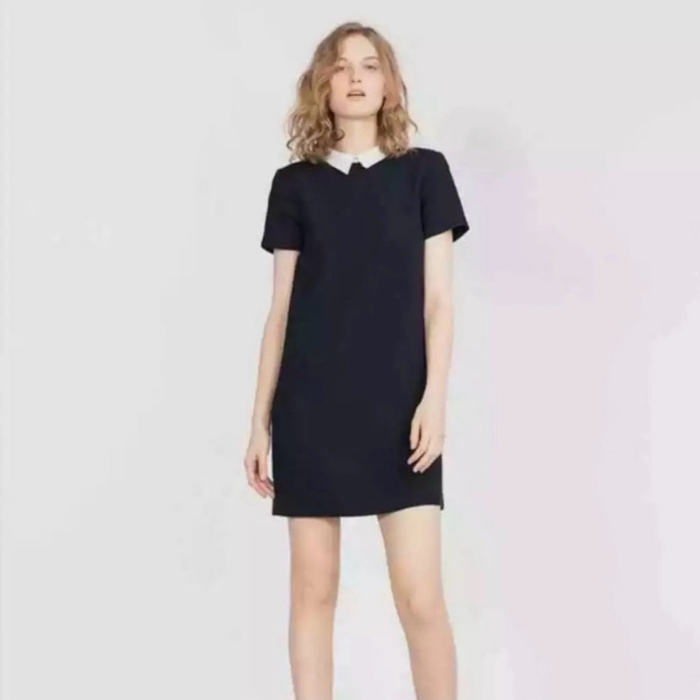 Cute little black dress!!!
ZARA Collared Mini Dress 
US S
A line Stretch fabric